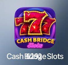 6292.com